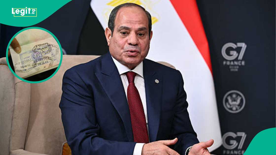 Egypt lists documents foreigners need to have before bringing their pets.