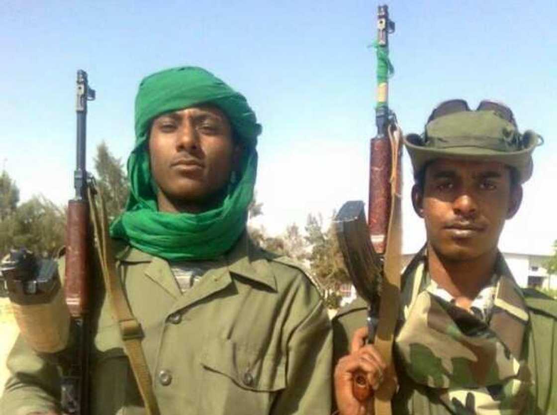 Labari da ɗuminsa: Mataimakin ƙasurgumin shugaban 'yan bindiga, Dogo Giɗe, ya bindige shi har lahira Labari da ɗuminsa: Mataimakin ƙasurgumin shugaban 'yan bindiga, Dogo Giɗe, ya bindige shi har lahira