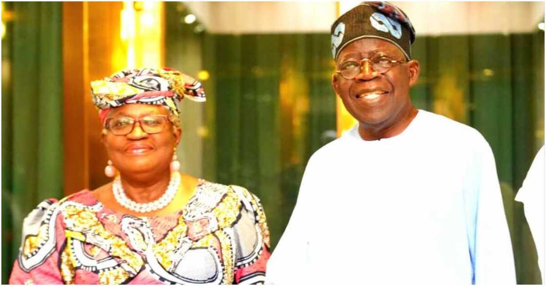 The World Trade Organisation, Dr. Ngozi Okonjo-Iweala, President Bola Tinubu