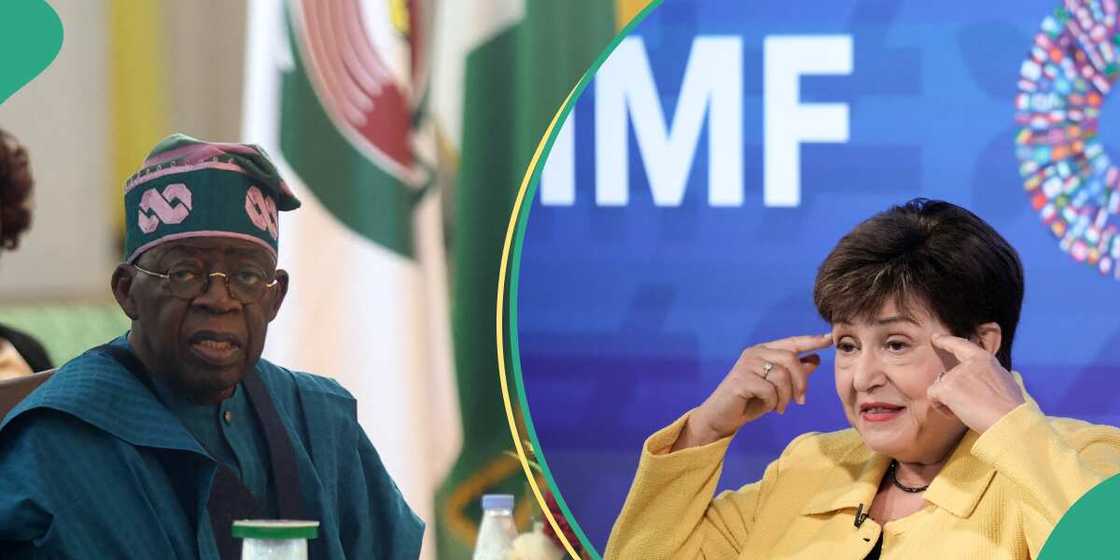 SERAP takes President Bola Tinubu to court/Loan Nigeria took from IMF causes lawsuit against President Bola Tinubu SERAP takes President Bola Tinubu to court/Loan Nigeria took from IMF causes lawsuit against President Bola Tinubu