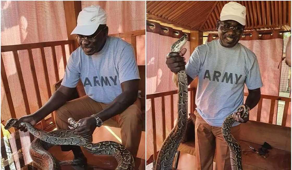 Hotonun Buratai da maciji a gonarsa ya janyo cece-kuce bayan ya yi muƙus a game da sace daliban Kankara Hotonun Buratai da maciji a gonarsa ya janyo cece-kuce bayan ya yi muƙus a game da sace daliban Kankara