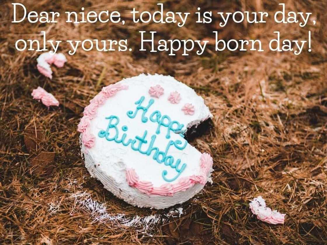 birthday niece birthday niece