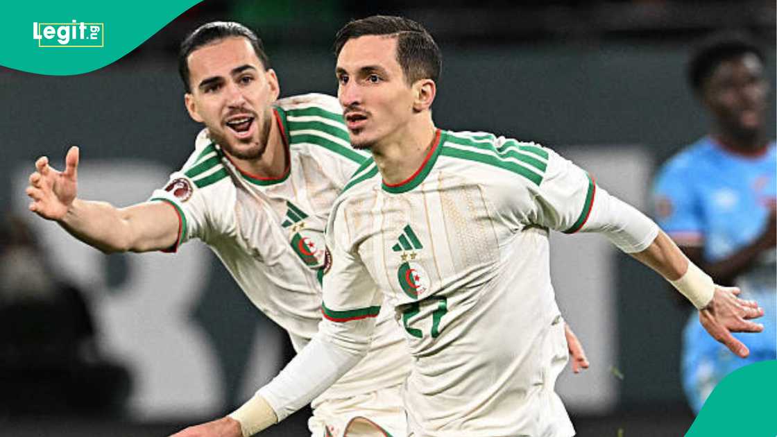 AFCON, CAF, Algeria, Desert Foxes, Nigeria, Super Eagles AFCON, CAF, Algeria, Desert Foxes, Nigeria, Super Eagles