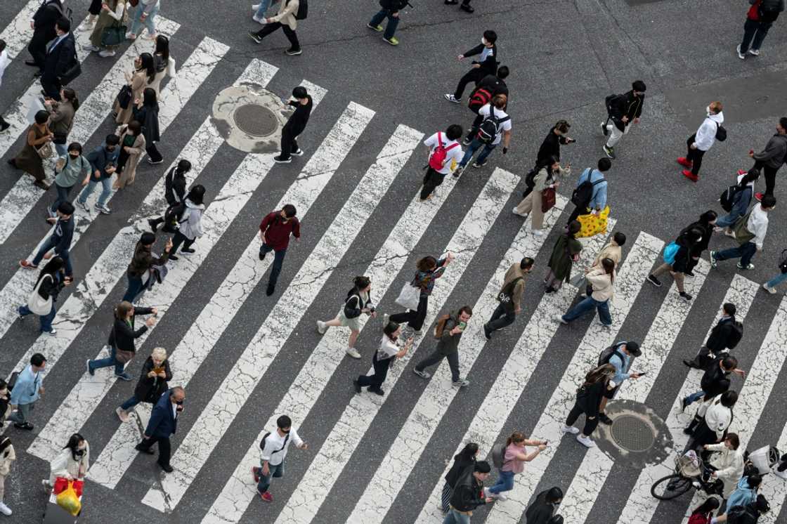 Japanese stocks led gains across Asia, with the Nikkei 225 hitting a record high Japanese stocks led gains across Asia, with the Nikkei 225 hitting a record high