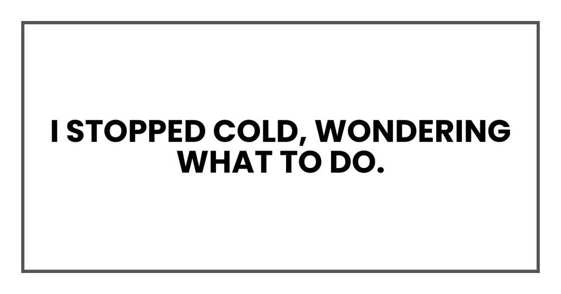 I stopped cold, wondering what to do.