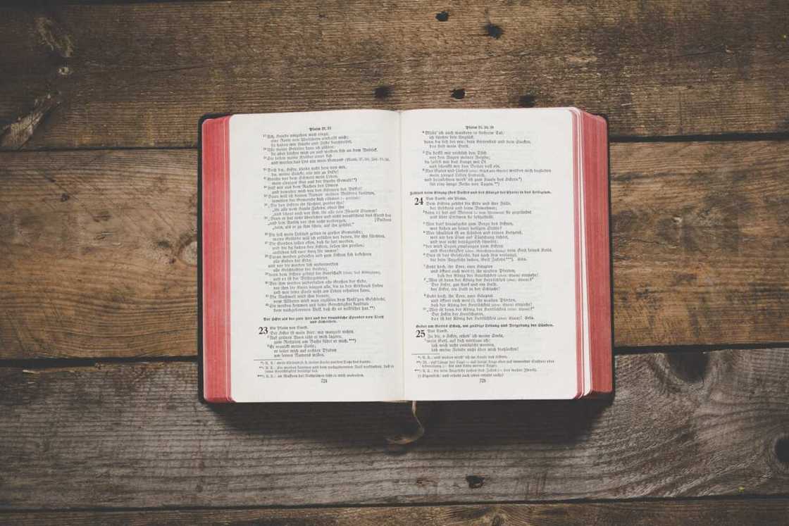Bible verses about forgiveness Bible verses about forgiveness