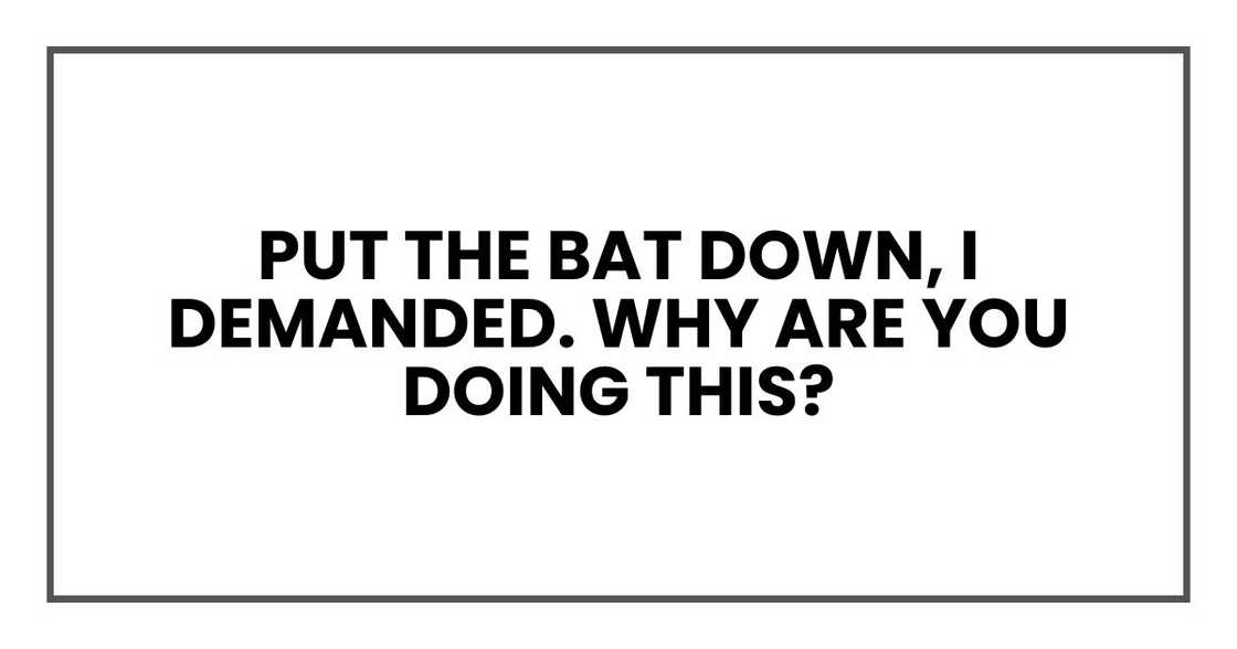 Put the bat down, I demanded. Why are you doing this? Put the bat down, I demanded. Why are you doing this?