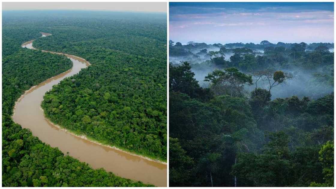 things that are big things that are big