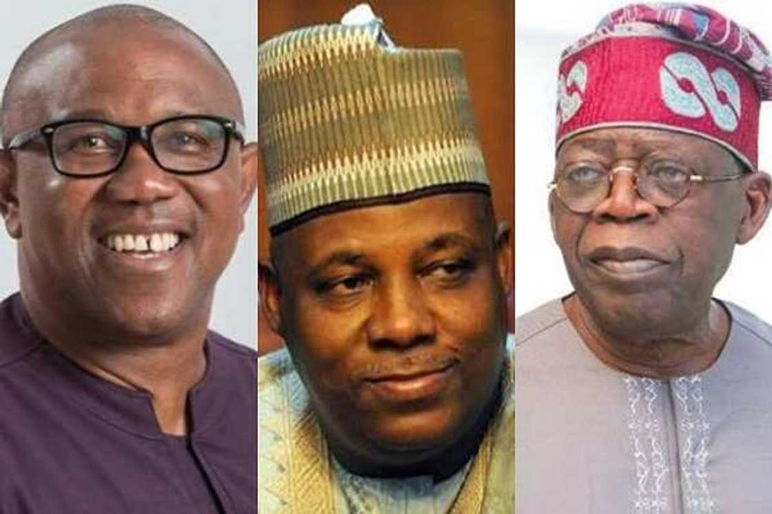 Tinubu/Shettima/Peter Obi/Southeast/2023 elections Tinubu/Shettima/Peter Obi/Southeast/2023 elections