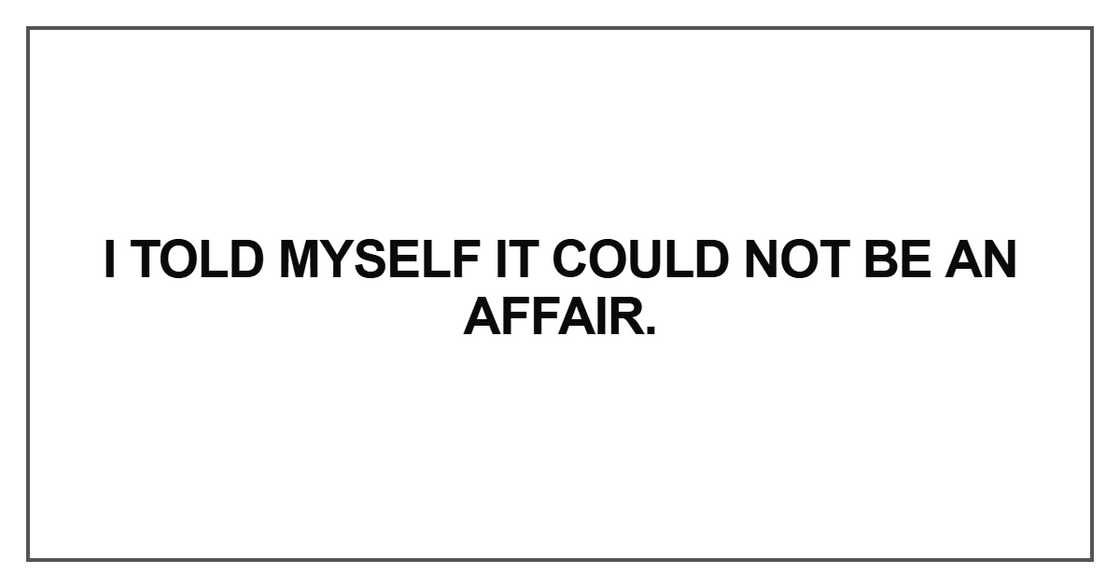 I told myself it could not be an affair