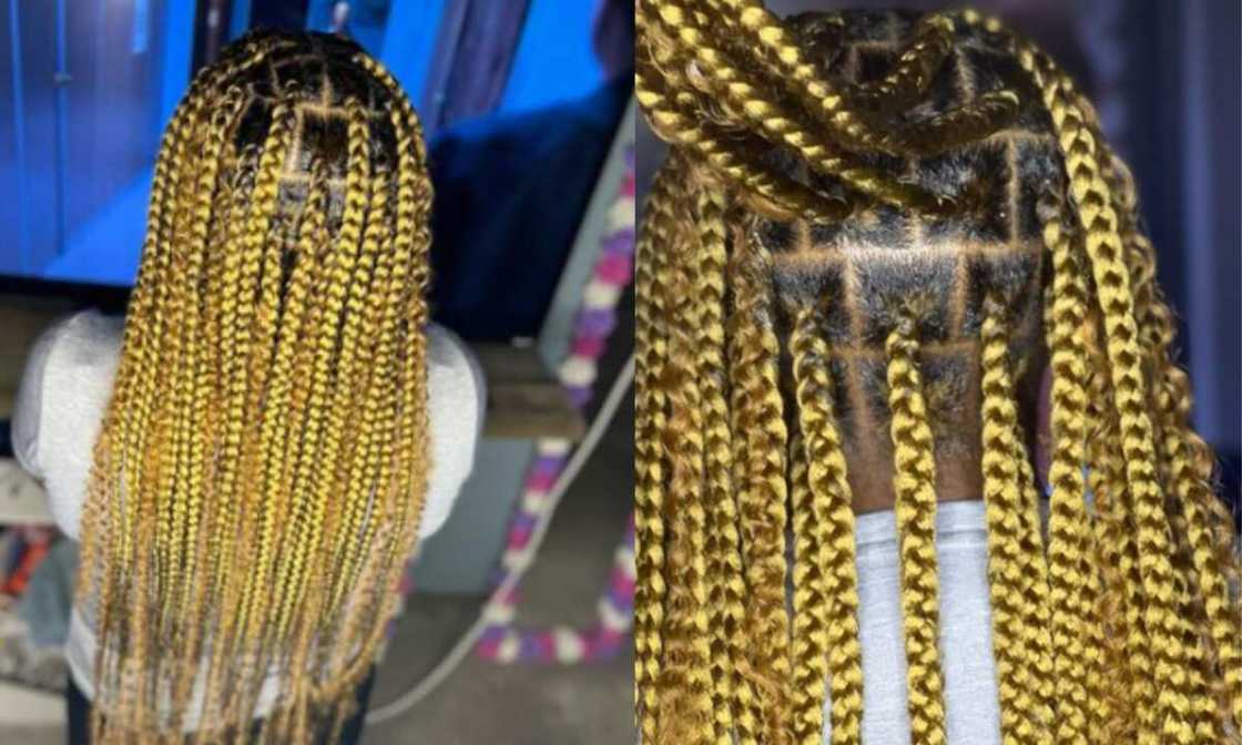 medium jumbo box braids