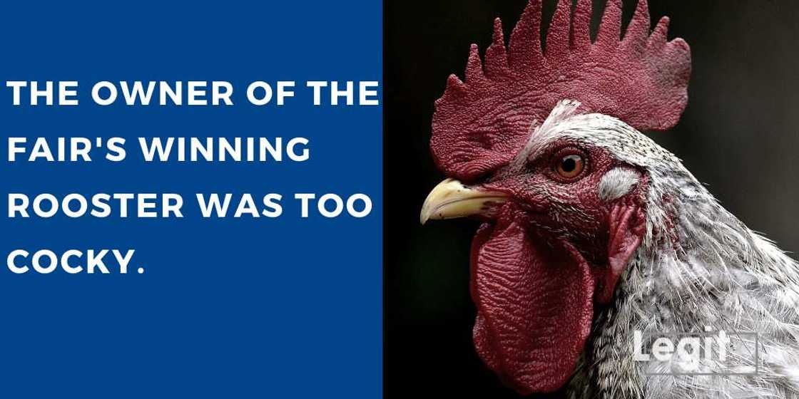 chicken puns chicken puns