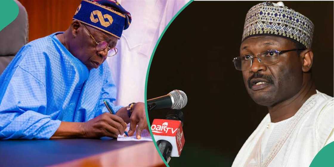 Bayelsa, Imo, and Kogi governorship elections, Atiku Bagudu, INEC, Bola Tinubu Bayelsa, Imo, and Kogi governorship elections, Atiku Bagudu, INEC, Bola Tinubu