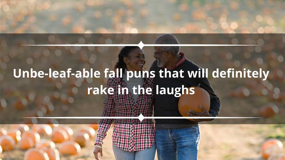 Unbelievable fall puns