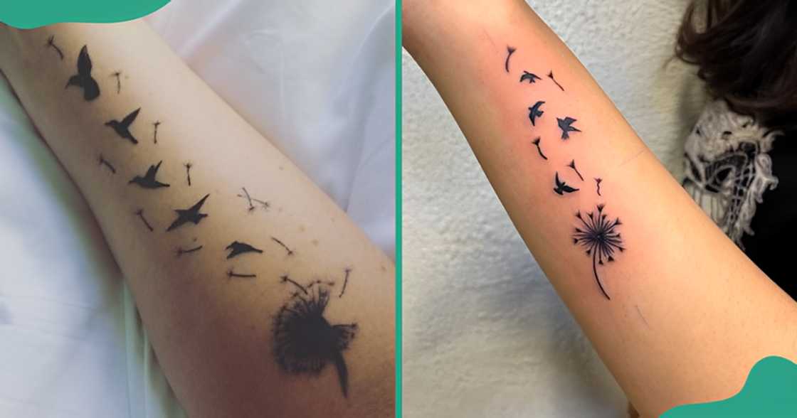 Fine line dandelion tattoos with flying birds on the arms.