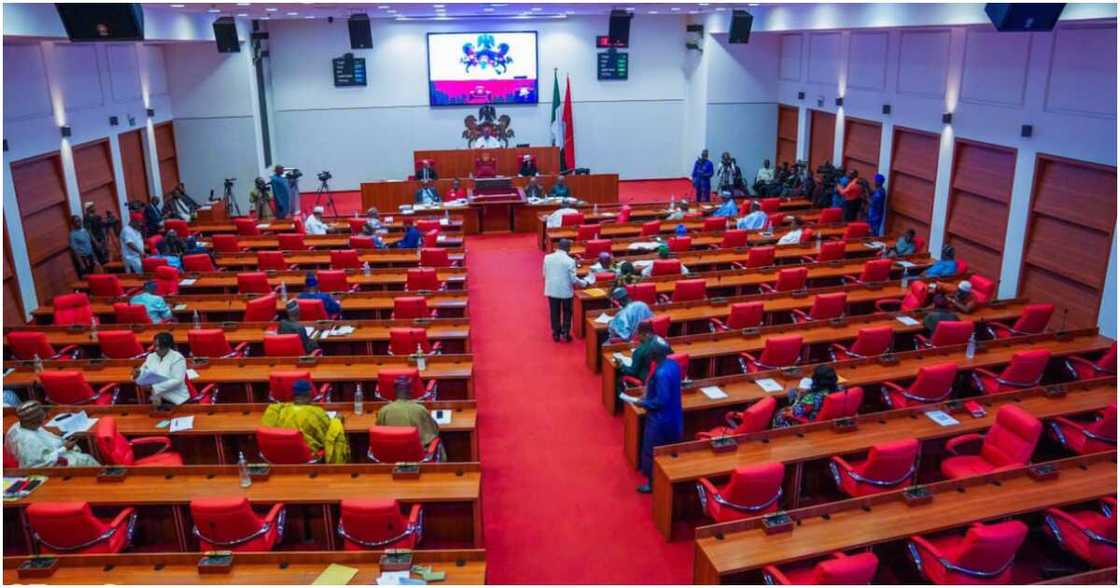 The Defenders of Constitutional Democracy (DCD), Aliyu Abdullahi, 10th Assembly, Ahmad Lawan, the senate president, and Ovie Omo-Agege, his deputy