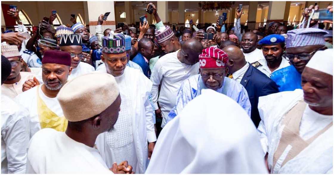 APC, 2023 election, Bola Tinubu, Kashim Shettima, South-South Youth Organisations APC, 2023 election, Bola Tinubu, Kashim Shettima, South-South Youth Organisations