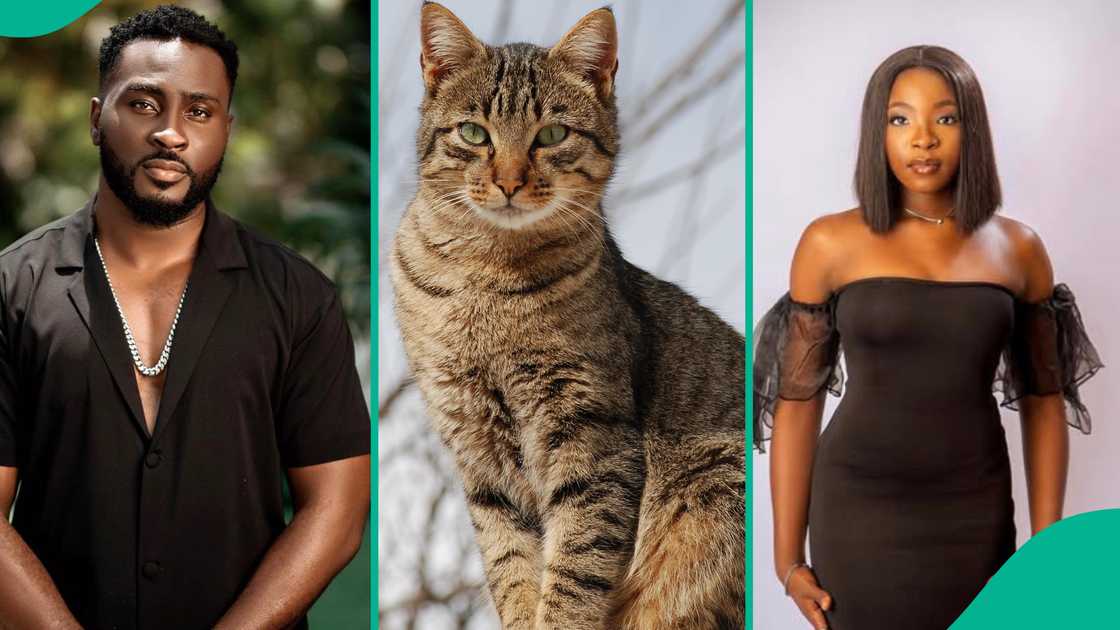 Pere Egbi speaks on Nanyah_music's death.