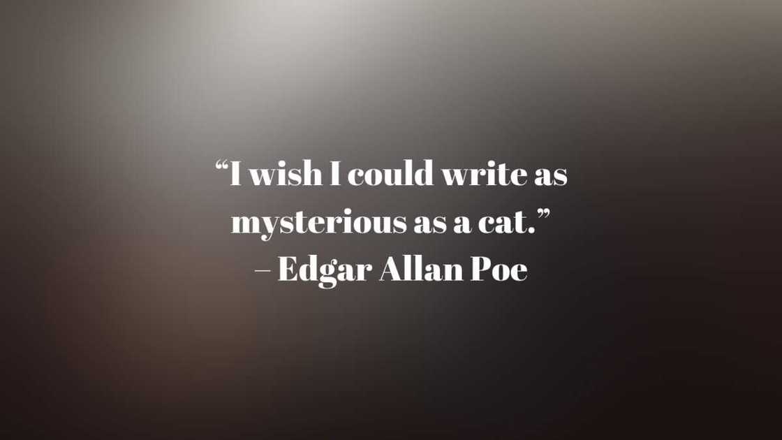 Edgar Allan Poe quotes The Raven Edgar Allan Poe quotes The Raven