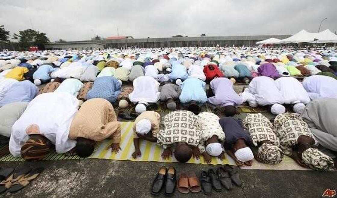 Goron Sallah Goron Sallah