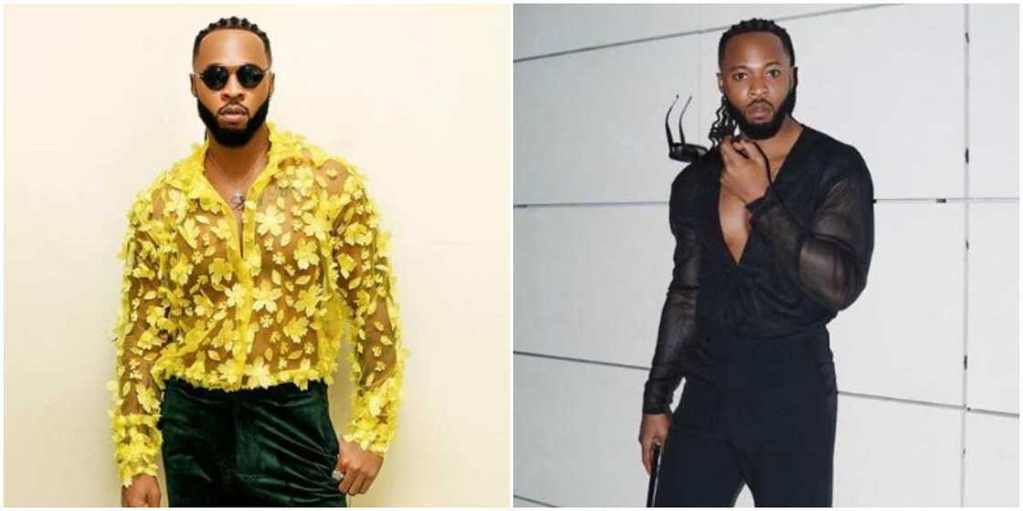 Singer Flavour on net shirt Singer Flavour on net shirt