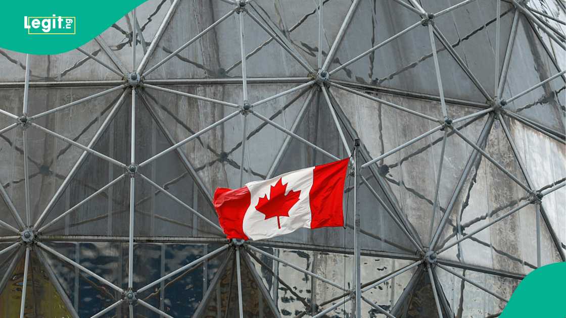 Canada reports 5,260 total deportations in 2026, including 97 Nigerian nationals. Canada reports 5,260 total deportations in 2026, including 97 Nigerian nationals.