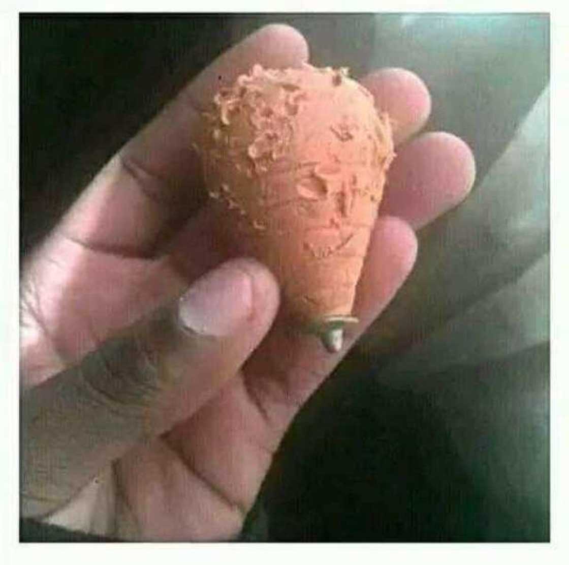 Stop Wasting Money on Insulin, this one Trick can Reverse Type 2 Diabetes & Normalize Blood Sugar Stop Wasting Money on Insulin, this one Trick can Reverse Type 2 Diabetes & Normalize Blood Sugar