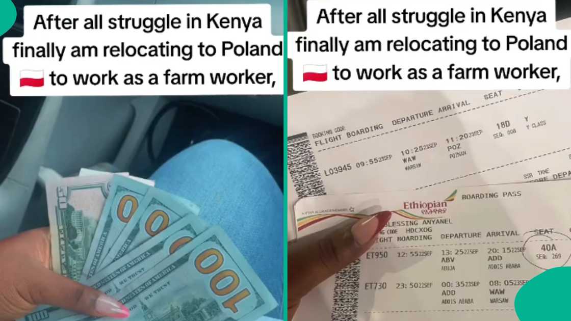 Reactions as lady relocates to Poland to work on farm, shares video Reactions as lady relocates to Poland to work on farm, shares video