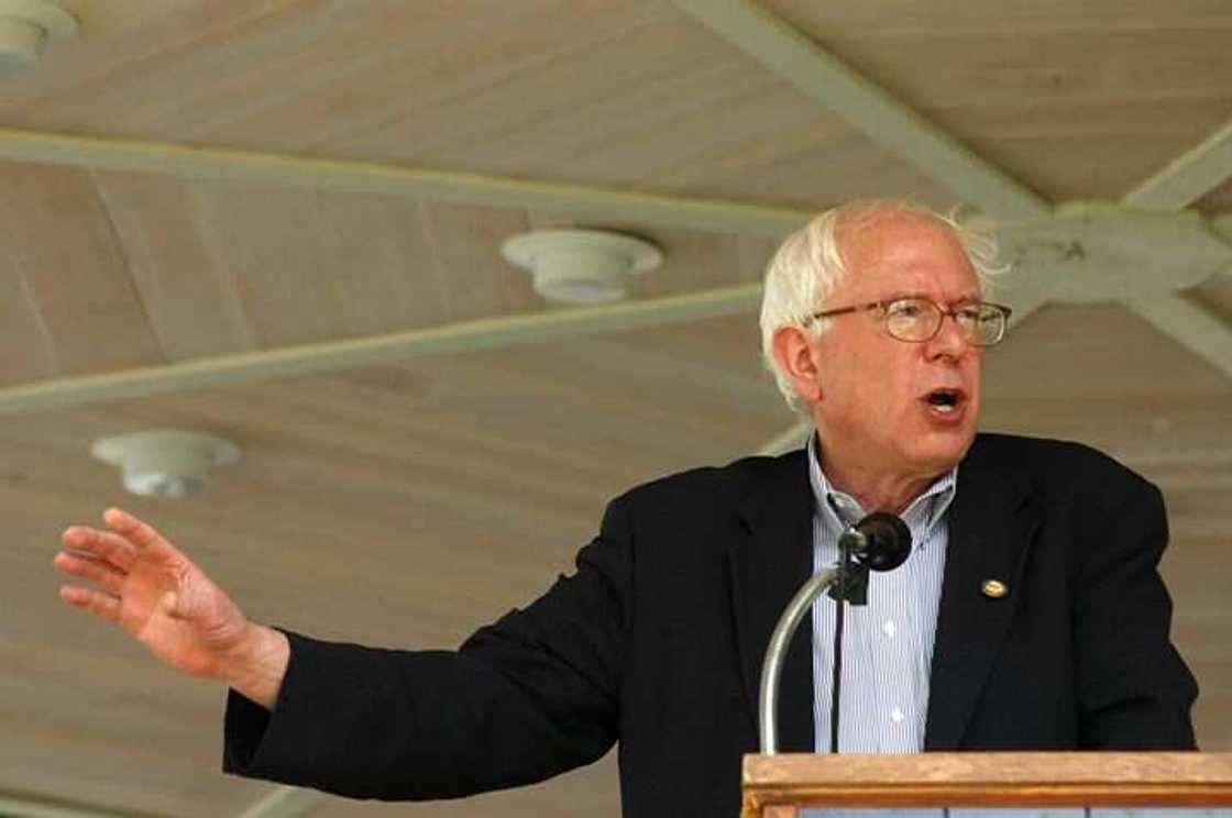 bernie sanders polls bernie sanders polls