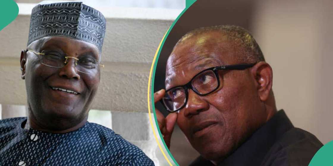 Peter Obi, Atiku possible merger against 2027