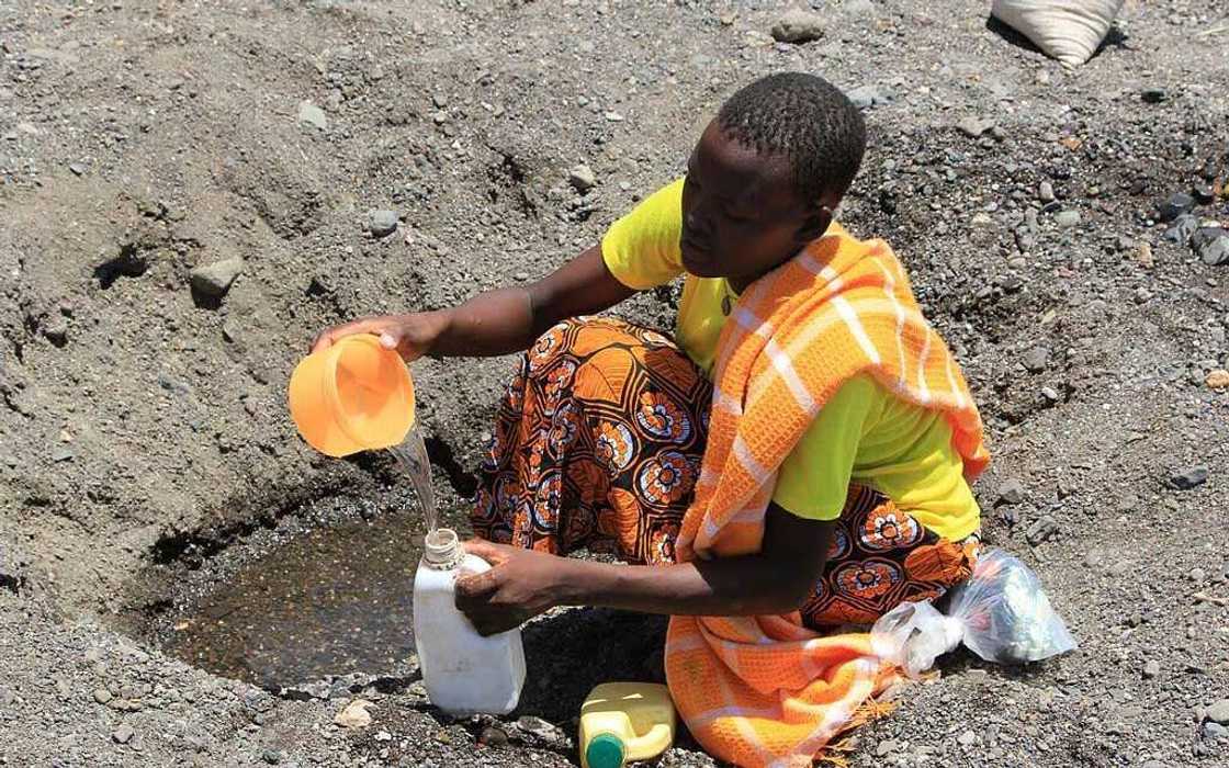 10 points on importance of water 10 points on importance of water
