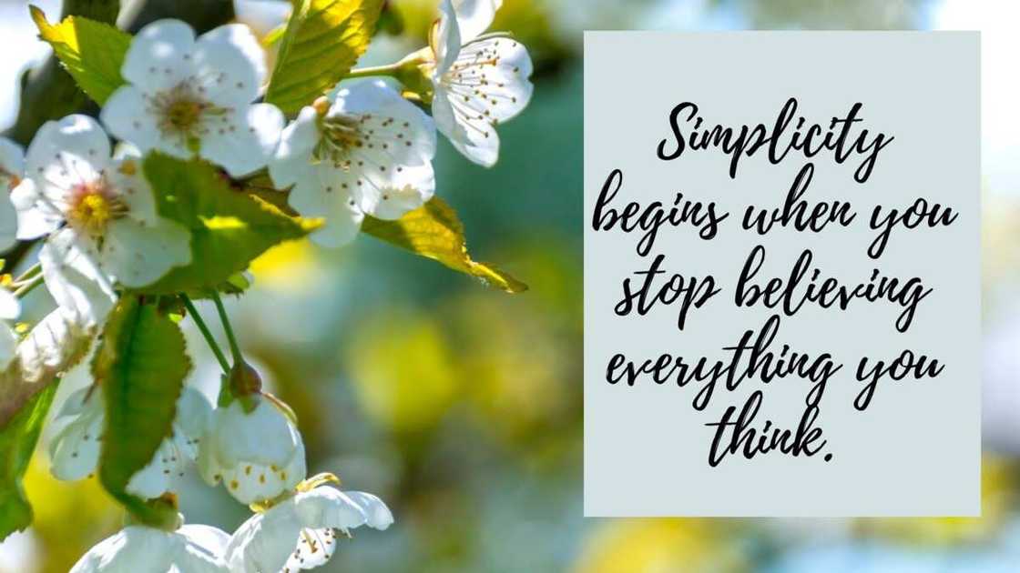 quotes on healing quotes on healing