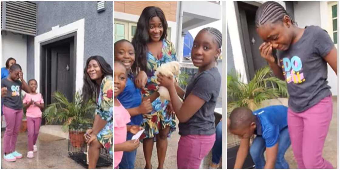 Mercy Johnson and her kids