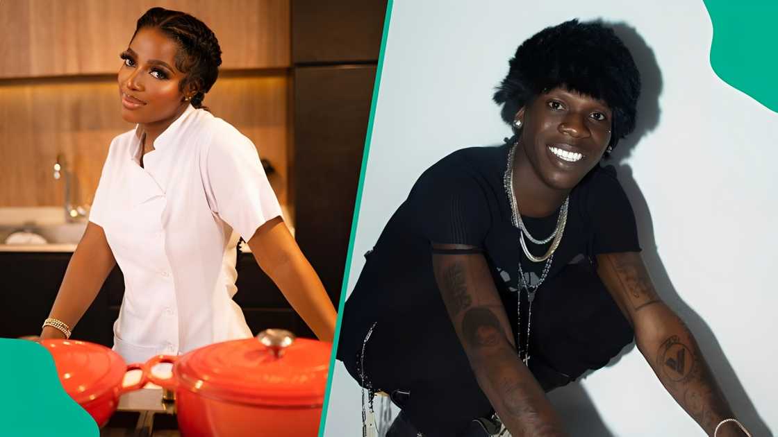 Hilda Baci seemingly fires back at singer Seyi Vibez following claim about her food.