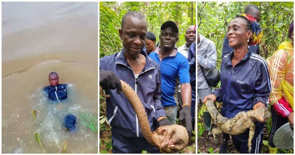 Azibaola in the wild Azibaola in the wild