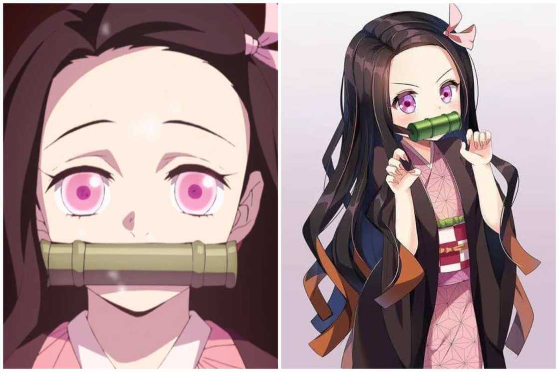 Nezuko Kamado from Demon Slayer Nezuko Kamado from Demon Slayer