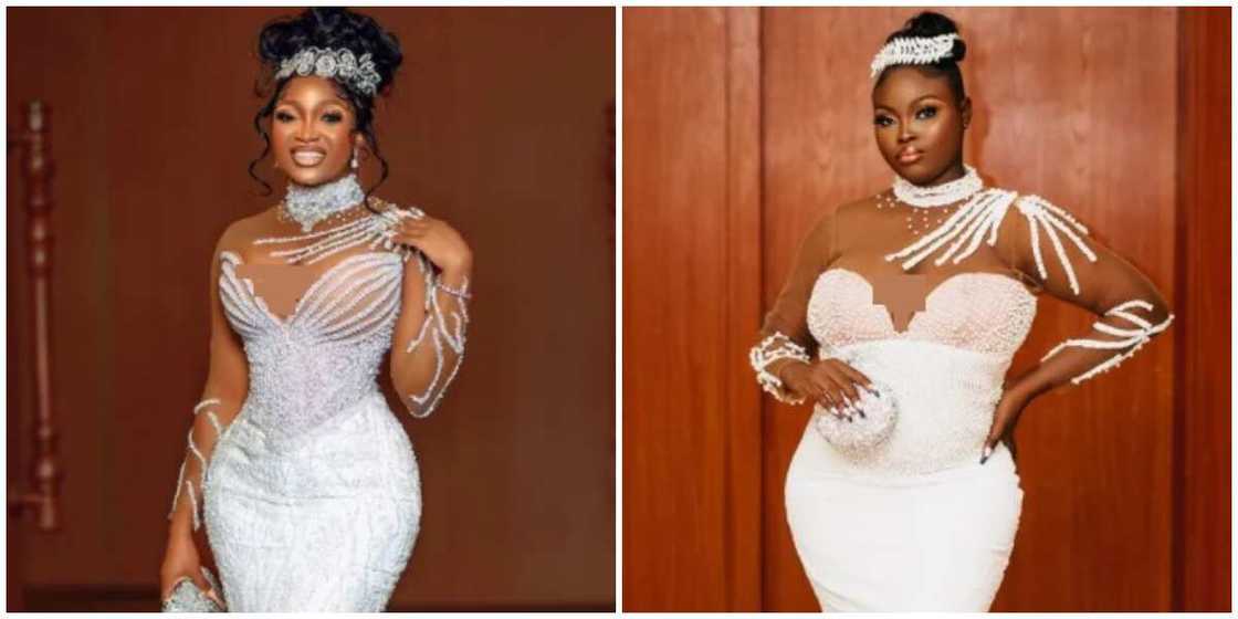 Photos of Papaya Ex and Adufe. Photos of Papaya Ex and Adufe.