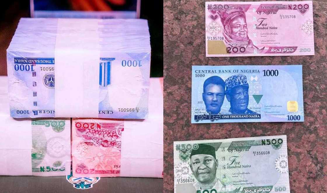 New naira notes New naira notes