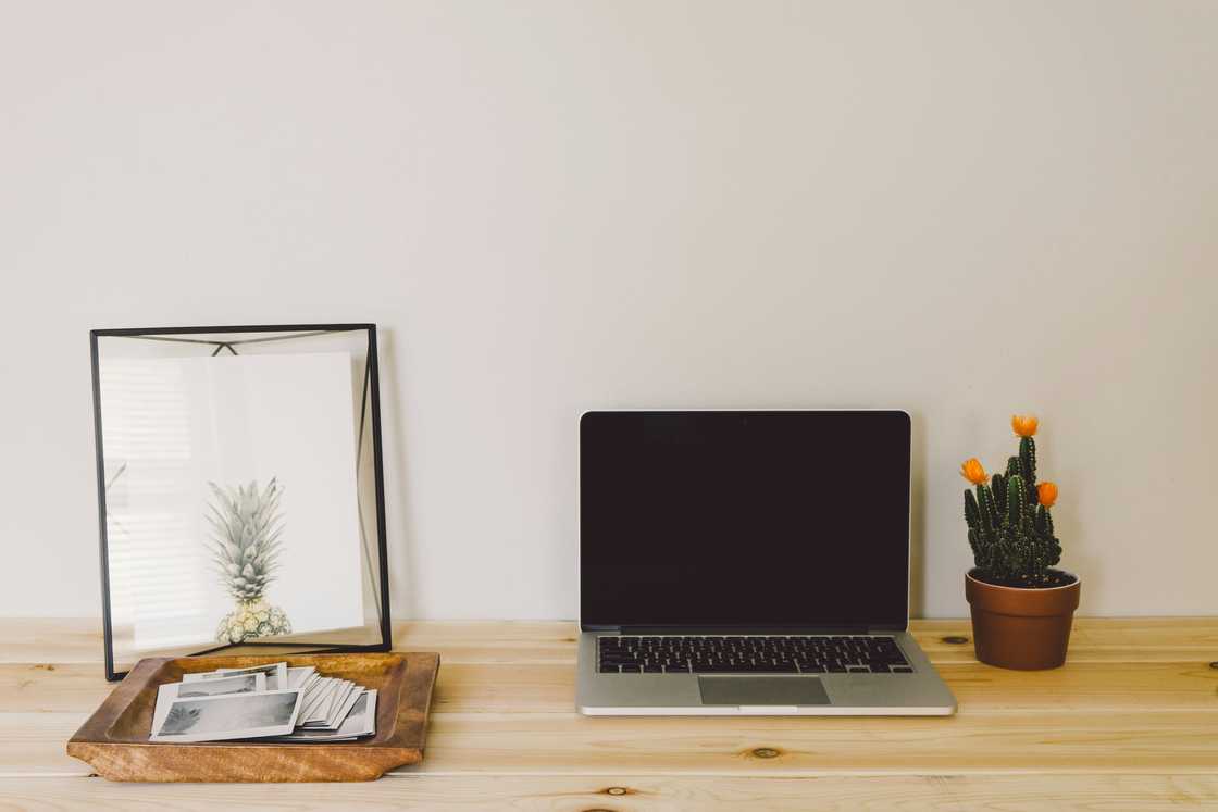 A laptop, potted indoor plant, and a mirror next to a document tray on a wooden table