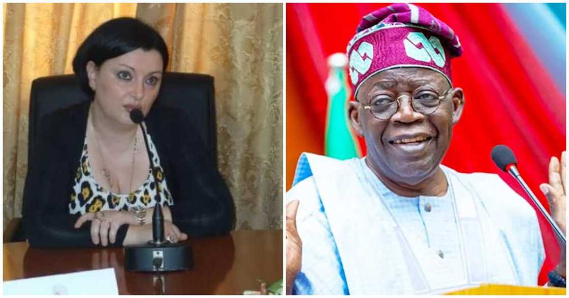 Tinubu/tinubu news