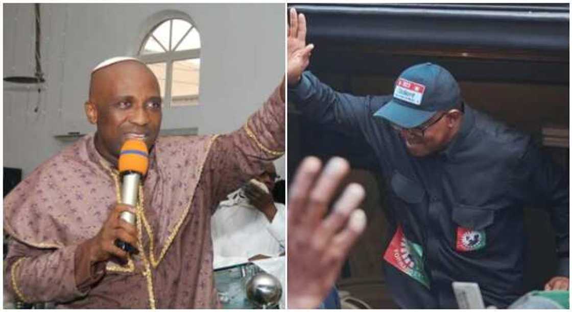 Ayodele, Peter Obi Ayodele, Peter Obi