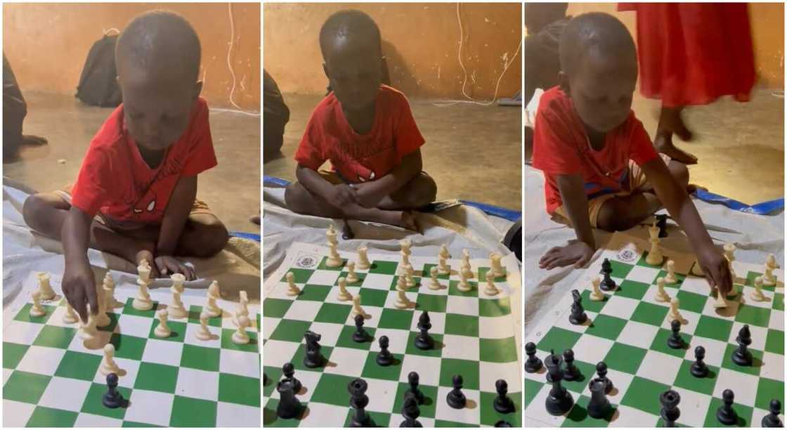 Photos of a boy playing chess. Photos of a boy playing chess.