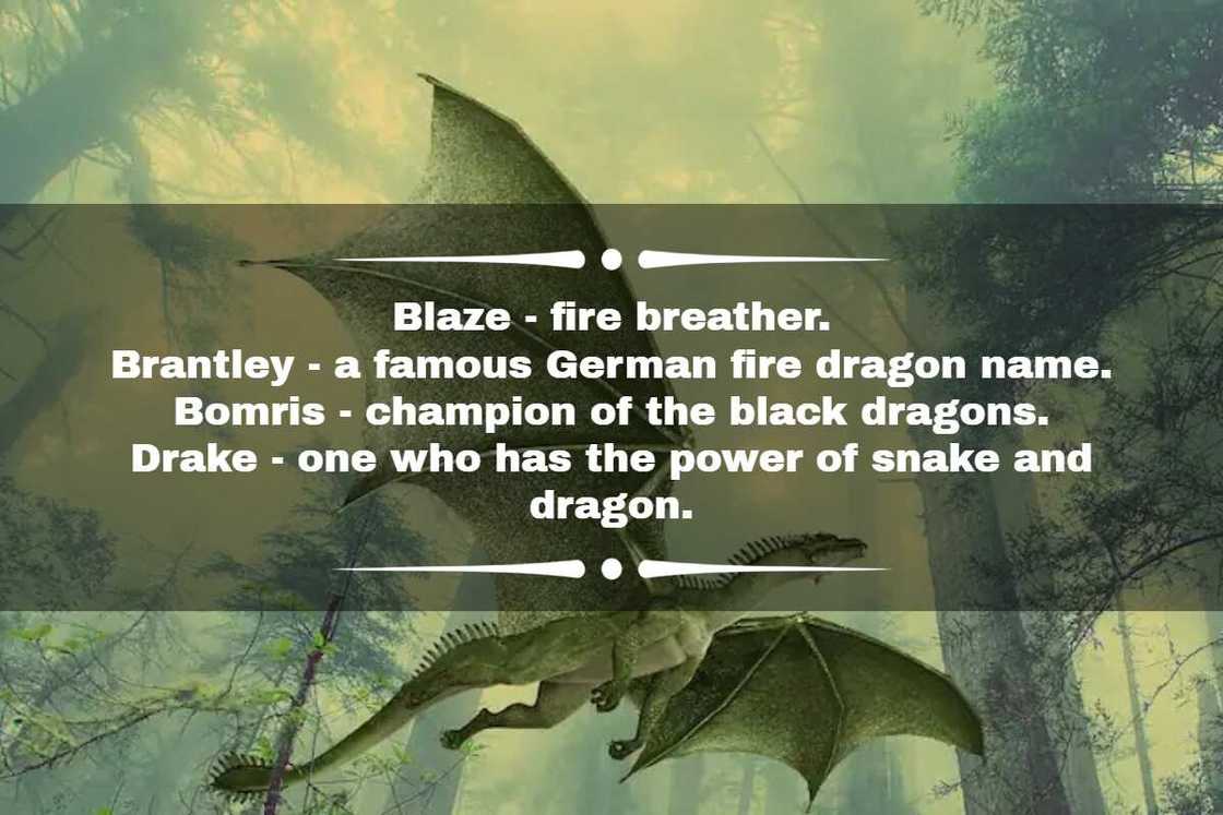 Unisex dragon names