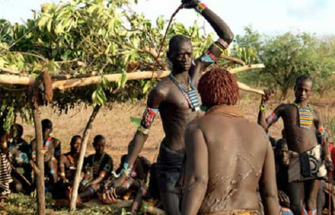 Interesting facts about Sharo, the Fulani festival where boys endure flogging as a rite of passage