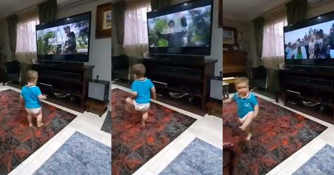 Mzansi reacts to adorable toddler giving #JerusalemaChallenge a go Mzansi reacts to adorable toddler giving #JerusalemaChallenge a go