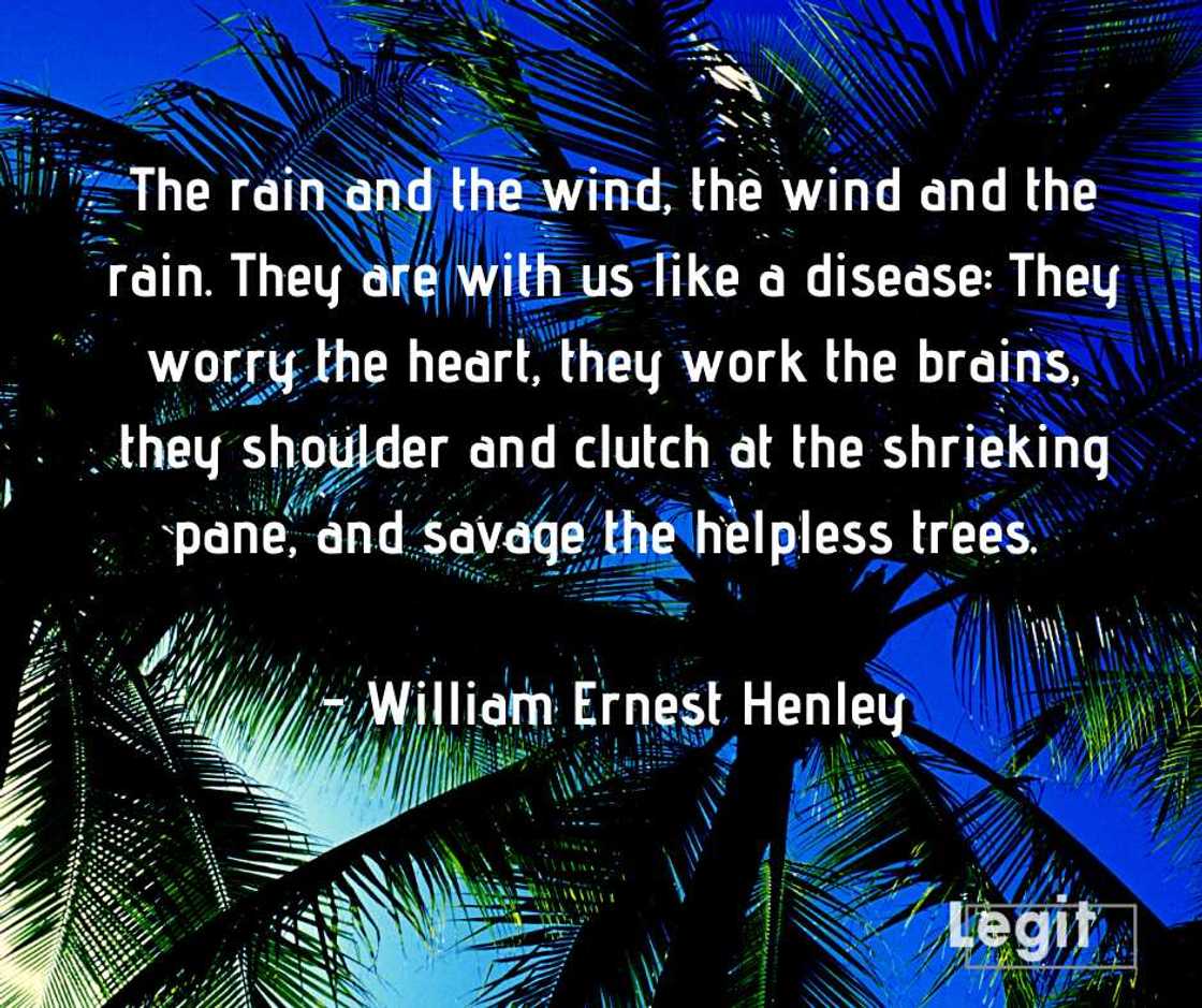 quotes about rain and love quotes about rain and love