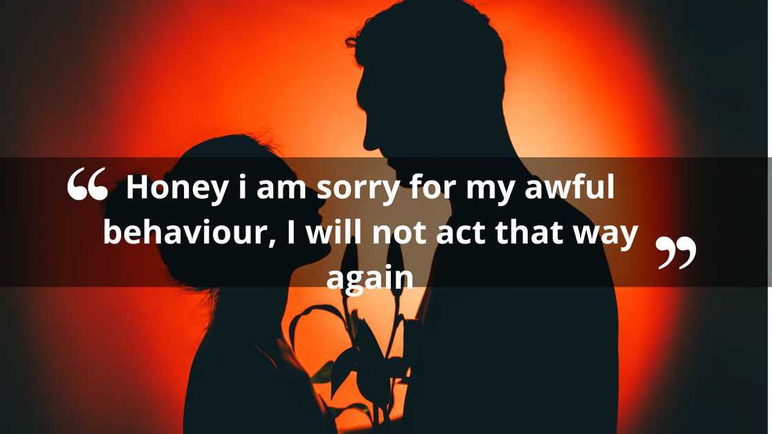 Short and romantic apology messages