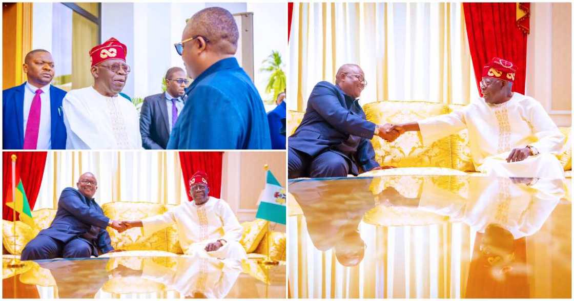 Bola Tinubu/Bola Tinubu news/Tinubu news today Bola Tinubu/Bola Tinubu news/Tinubu news today