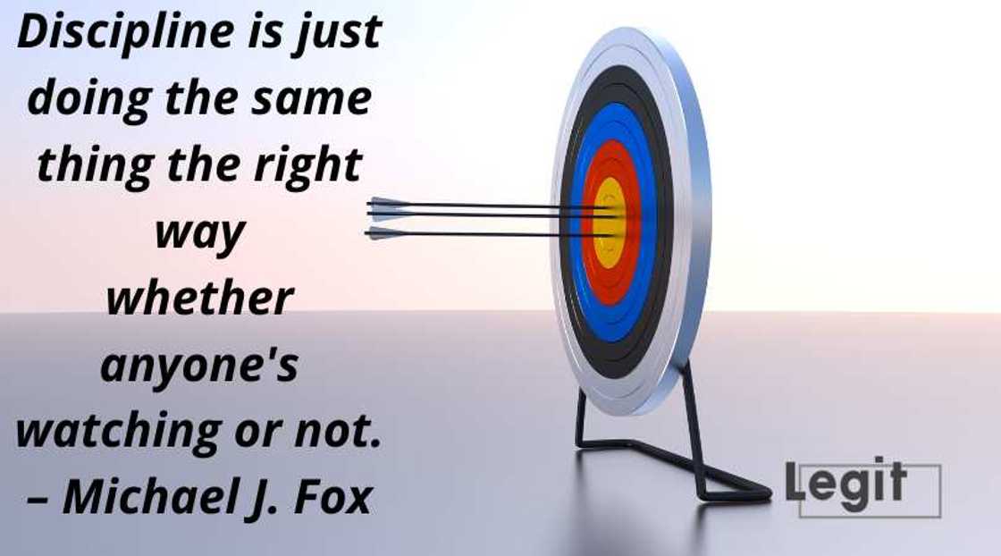 quotes about discipline quotes about discipline