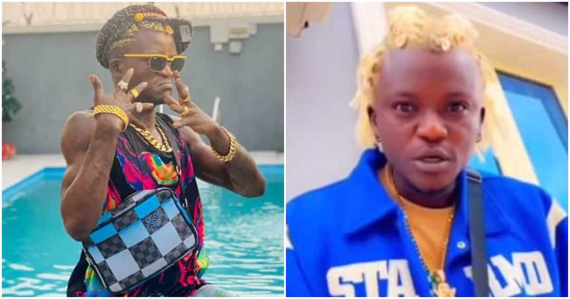 Portable Zazu Portable Zazu